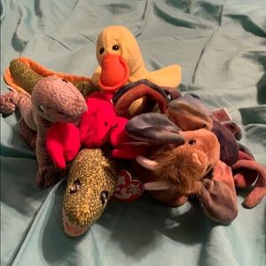 6 piece value Beanie Baby
